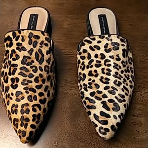 Leopard slides